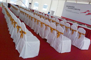 出租婚庆椅子与礼仪服务 打造完美婚礼的专业组合