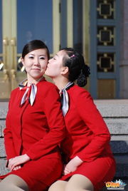 模特礼仪服务 职业形象塑造与专业价值解析