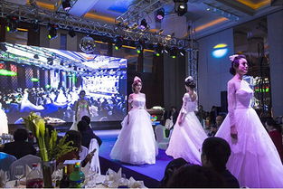 2015青岛结婚产业颁奖典礼 礼仪服务行业前瞻预测发布
